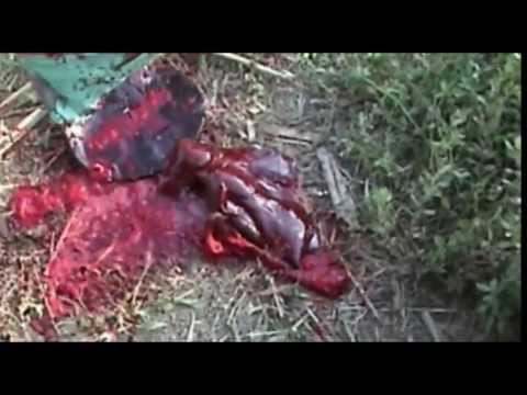 El Hijo del Naranjo 2 la Pelicula