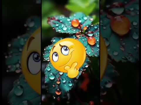 Building Wooden Log Cabin in Forest 🎄🎈| Survival House Step by Step "9 #shorts #facts