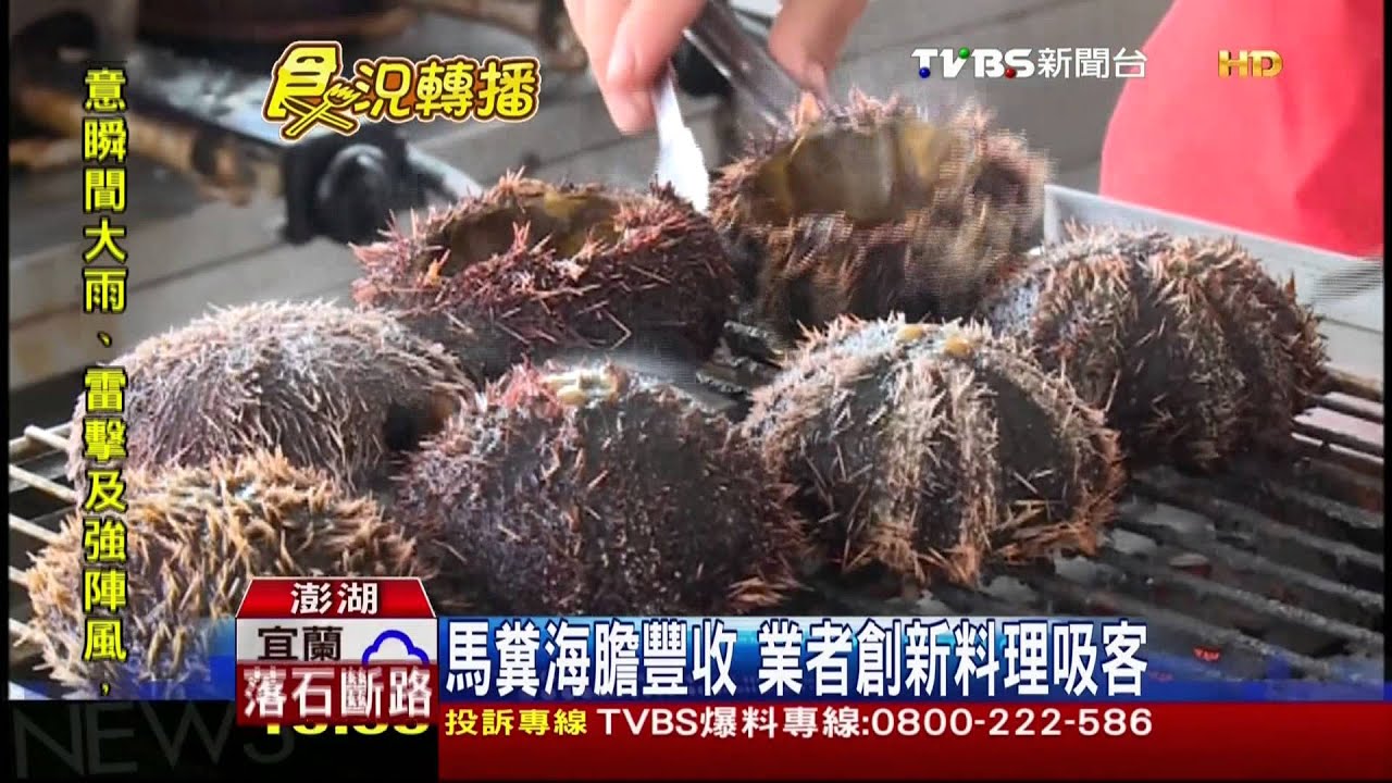 馬糞海膽豐收 業者創新料理吸客