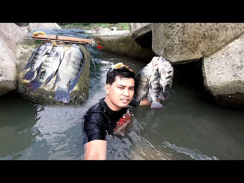Pinakamagandang Libangan pag walang Pasok Pamamana sa Ilog Bilis Makahuli Giant Tilapia