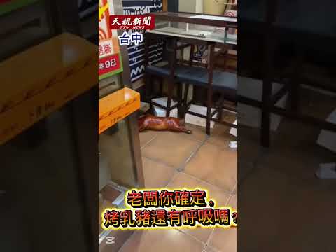 台中某餐廳驚傳「烤豬復活」事件，現場畫面曝光Roasted Pig “Comes Back to Life” at Restaurant in Taiwan