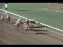 Buckpasser - 1966 Flamingo Stakes (Partial)