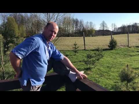 Фасеточный синдром. Как снять пояснично-крестцовую боль