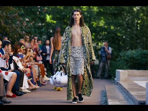 Historia Naturalis SS 19: RAYOK Collection