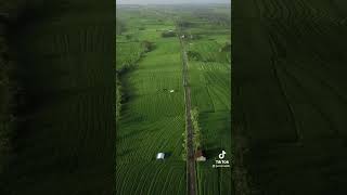 Download lagu Estetik Kali #shorts #status #story #fyp #shortvideo #estetica mp3