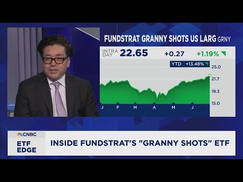 ETF experts on a theme-picker's market