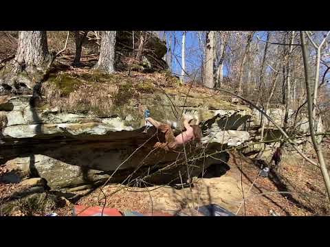 Wild Rabbit - V7 - Marne Rd