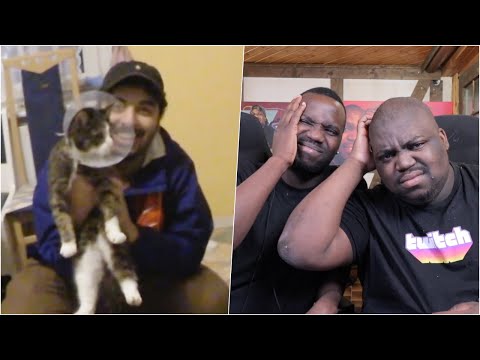 BLACKBROS REAGIEREN AUF: ABK KATZE WIRD OPERIERT