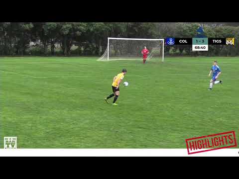 2020 NPL Capital Football Men's 1st Grade Round 5 - Goals of the Week