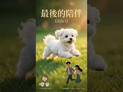 最後的陪伴 · Little Q