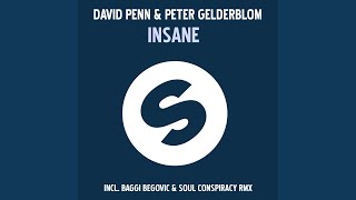 Insane (Baggi Begovic & Soul Conspiracy Remix)
