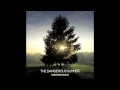 The Dangerous Summer- Northern Lights 