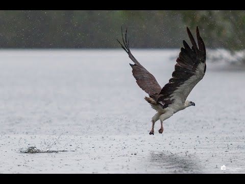 My year in photos 2016