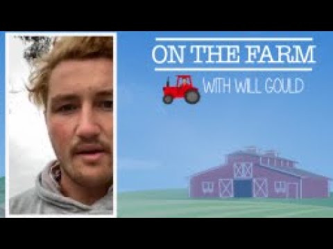 On the farm with Will Gould - Episode 4