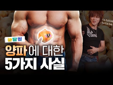 양파, 당신이 몰랐던 5가지 사실|농담짚