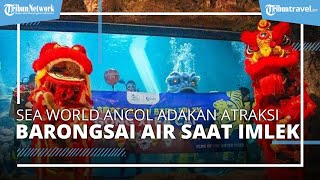 Sea World Ancol Adakan Atraksi Barongsai dalam Air Meriahkan Perayaan Imlek 2022