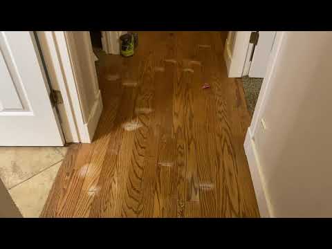 How to fix wood floor water damage. Part 1