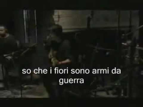 download lagu mp3 mp4 Shape Of My Heart Traduzione, download lagu Shape Of My Heart Traduzione gratis, unduh video klip Shape Of My Heart Traduzione
