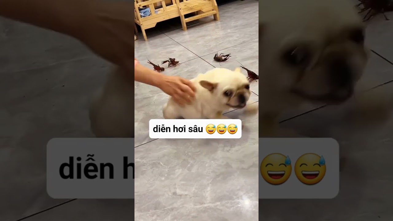 Diễn hơi lố rồi nha cưng =))
