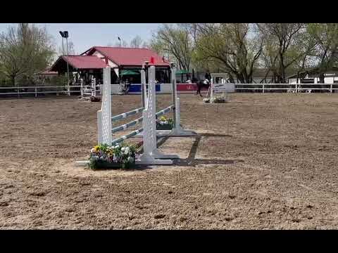 Tabasco D V Spruce Meadows