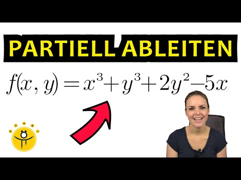 PARTIELLE ABLEITUNG einfach erklärt – mehrere Variablen ableiten (mehrdimensional)
