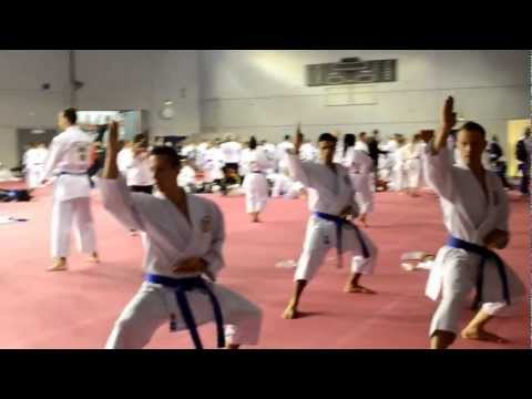 Male Team Kata Austria warming up - World Karate Championships Paris 2012 | WORLD KARATE FEDERATION