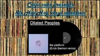 Dilated Peoples - the platform (Erick Sermon remix) (2000)