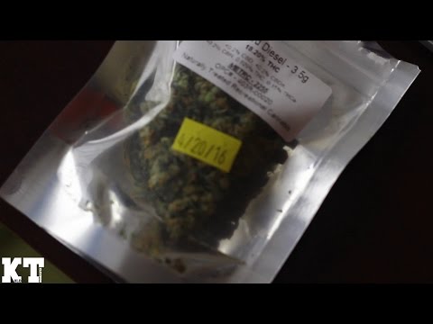 Dash ThatHippie & David Puffin in Denver, Colorado 4/20 (Shot By @dj_kold)