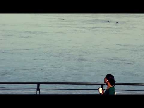 Video thumbnail for Three