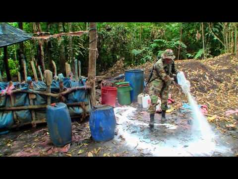 Bolivia: the new El Dorado for traffickers