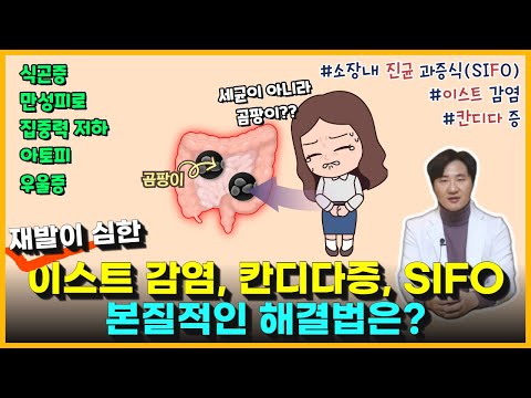 이스트감염, 칸디다증, SIFO(소장 내 진균 과증식증) 명쾌한 해결방법