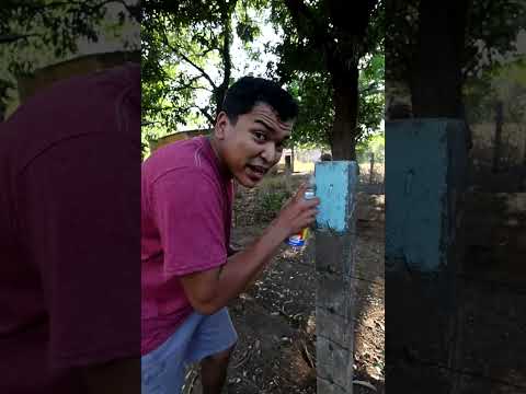 EN CASA DE MI MAMA #shorts