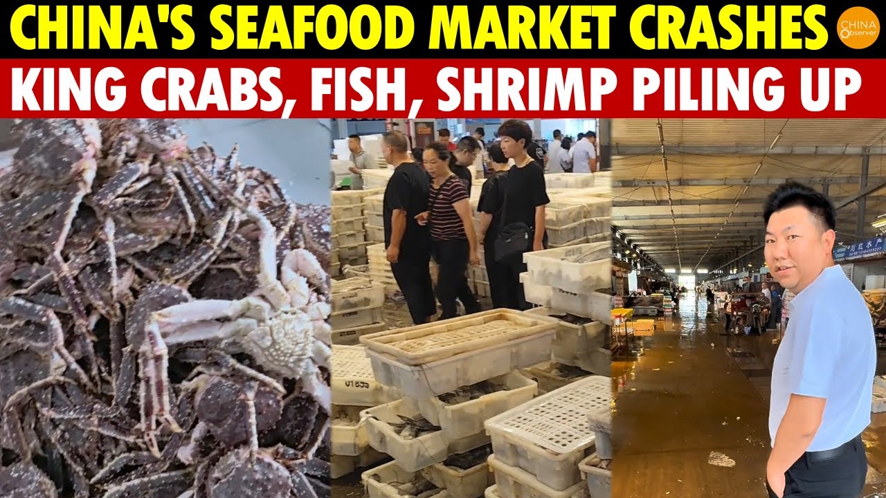 China's Seafood Market Crashes! Free Seafood, No Takers—King Crabs, Fish, Shrimp Piling Up