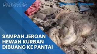 Viral Video Sampah Jeroan Hewan Kurban Mengotori Pantai Belakang Bandara Balikpapan