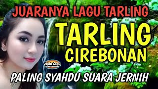 Download lagu BASS EMPUK BANGET || SUARANYA MERDU || JUARA TARLING DANGDUT, PALING SYAHDU SUARA JERNIH mp3