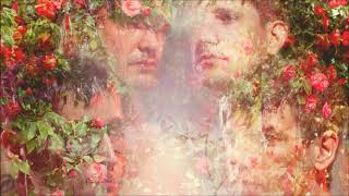 Starfucker - Golden Light