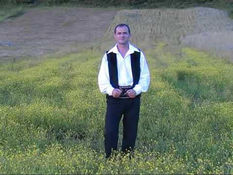 Bebe Dragomir-Viața e lăsată s-o trăiești!