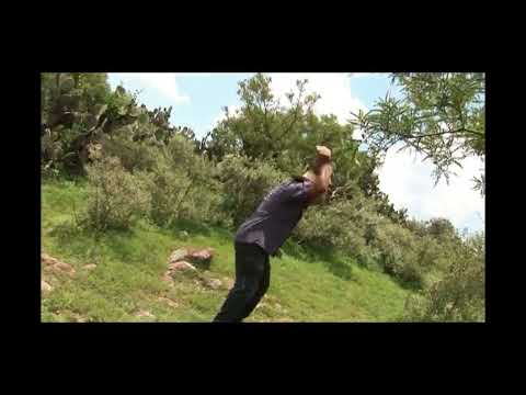 Dueto Bertin y Lalo - Claudio Bahena (Video Oficial)