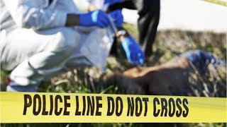 Forensic Science Technicians Career Video