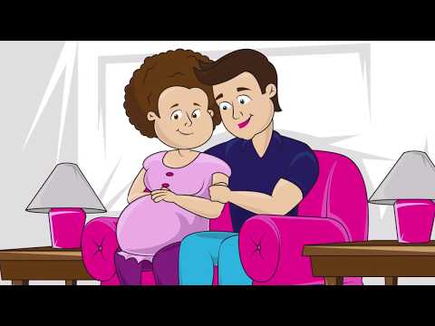 Preggo Light Product Animation