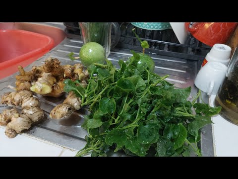 Harvesting Organic Fruits and Vegetables grown by Prince 