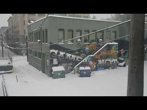 Rare snowfall in Seattle. Feb 13, 2021