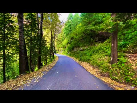  ANJANI MAHADEV YATRA 2020, Manali to Anjani Trek via Solang Valley in Himachal Pradesh