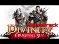 13 Mysterious Guest Divinity Original Sin Original ...