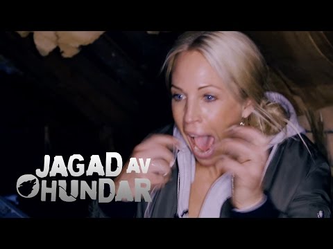 Malin Gramer Lights out reaction