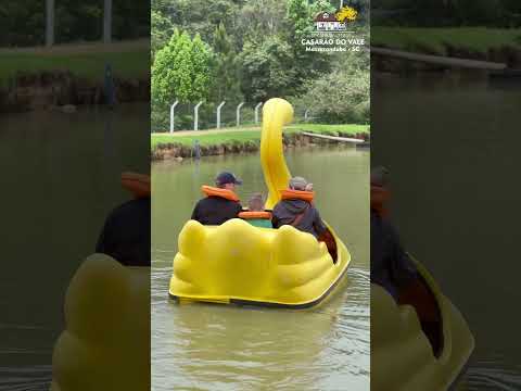 Quintou no Hotel Fazenda Casarão do Vale! #shortvideo #shorts #short