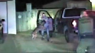 Dashcam Video Of K-9 Taking Down Man Pretending To Have Gun