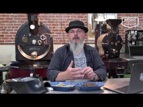 Decaf Coffee Processing