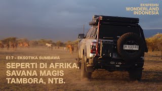 Download lagu Ekspedisi Wonderland Indonesia (Eps. 17) Savana Emas Tambora mp3 Download lagu Ekspedisi Wonderland Indonesia (Eps. 17) Savana Emas Tambora mp3