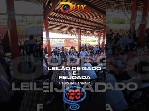 Leilão de Gado e Feijoada em Paulo de Faria/SP.